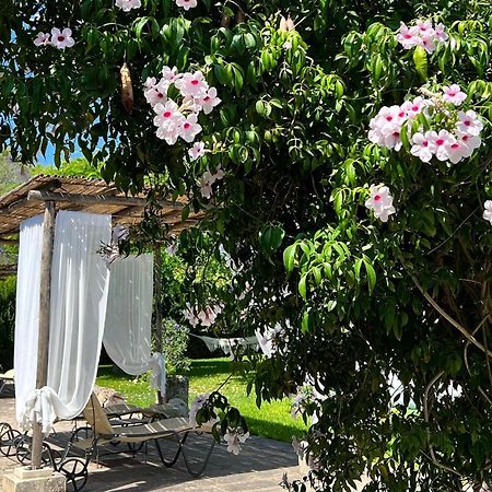 Masseria Casina Montana Corigliano dʼOtranto Zewnętrze zdjęcie