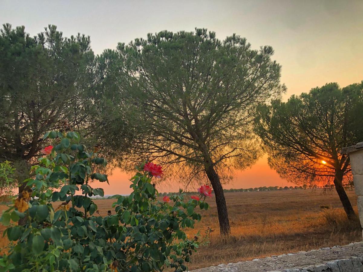 Masseria Casina Montana Corigliano dʼOtranto Zewnętrze zdjęcie
