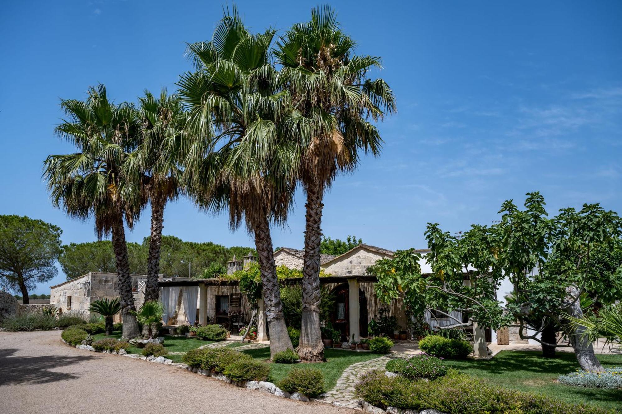Masseria Casina Montana Corigliano dʼOtranto Zewnętrze zdjęcie