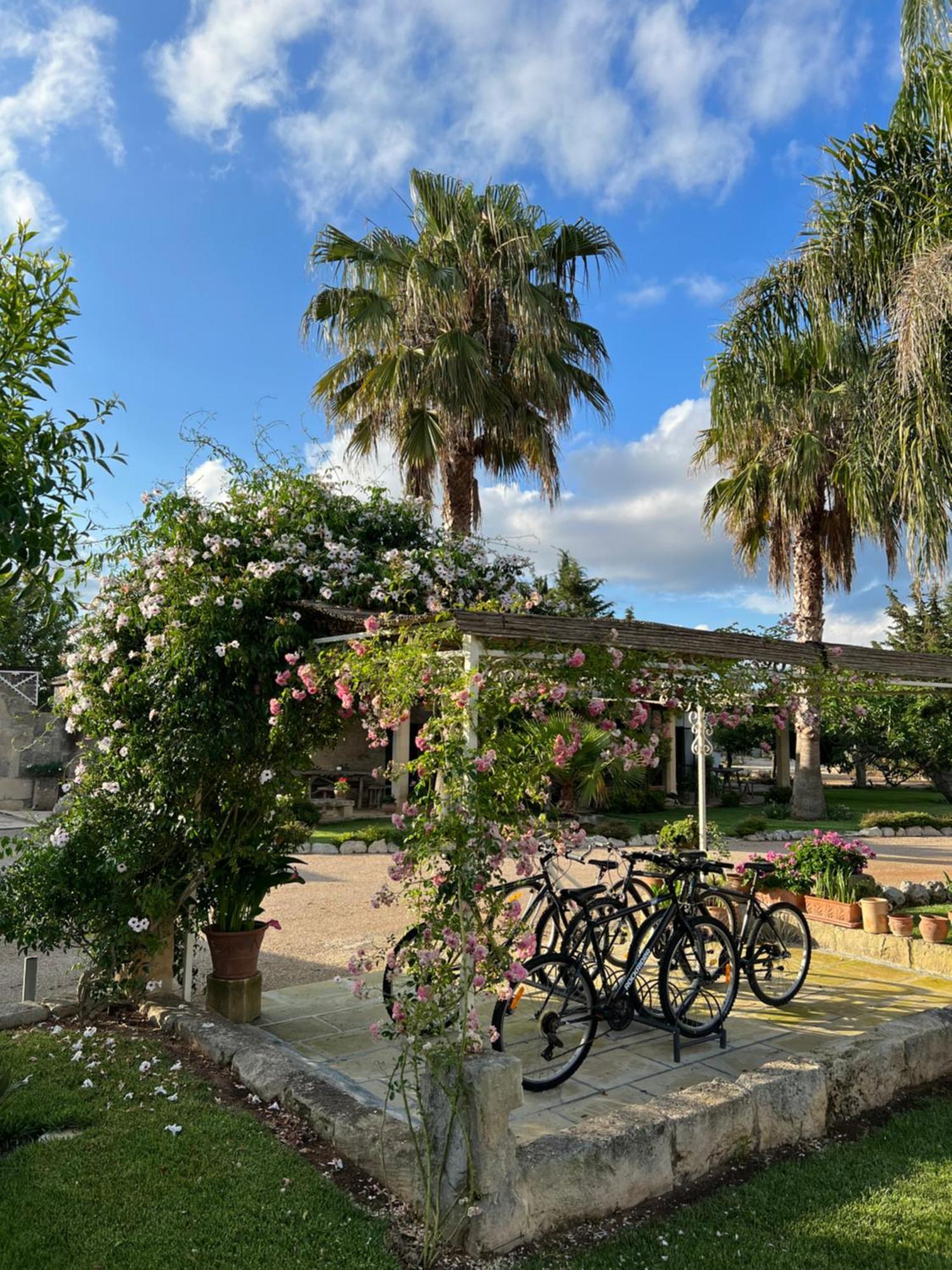 Masseria Casina Montana Corigliano dʼOtranto Zewnętrze zdjęcie