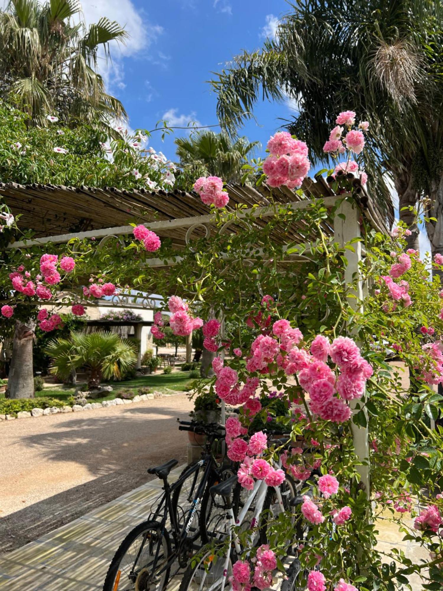 Masseria Casina Montana Corigliano dʼOtranto Zewnętrze zdjęcie