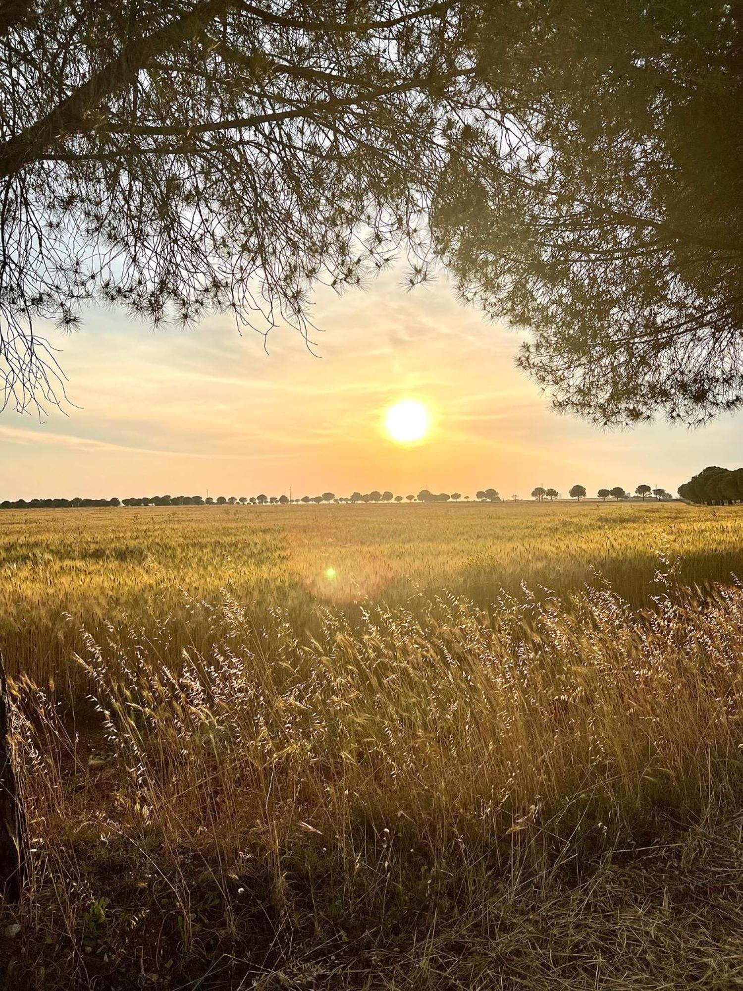 Masseria Casina Montana Corigliano dʼOtranto Zewnętrze zdjęcie