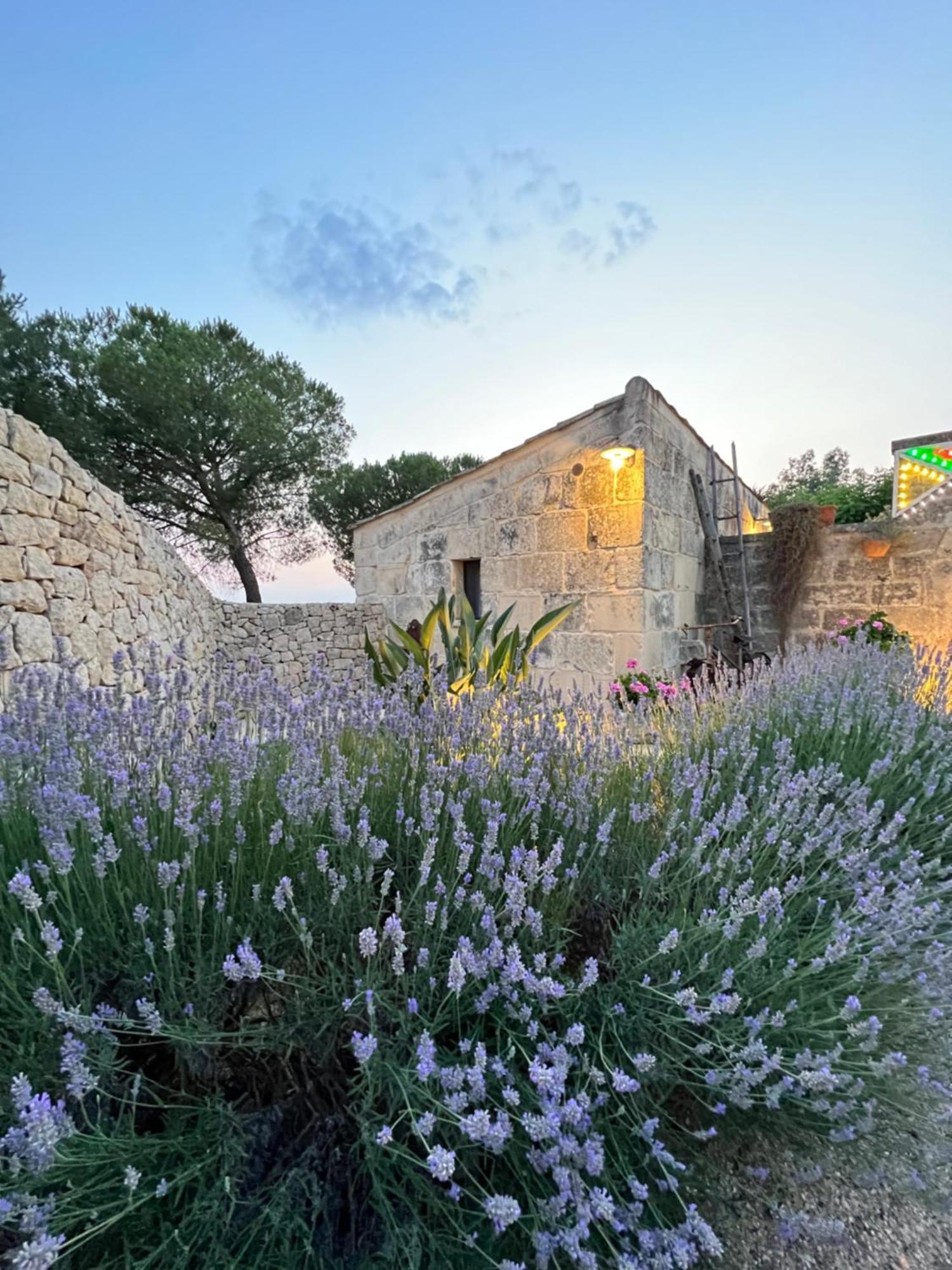 Masseria Casina Montana Corigliano dʼOtranto Zewnętrze zdjęcie
