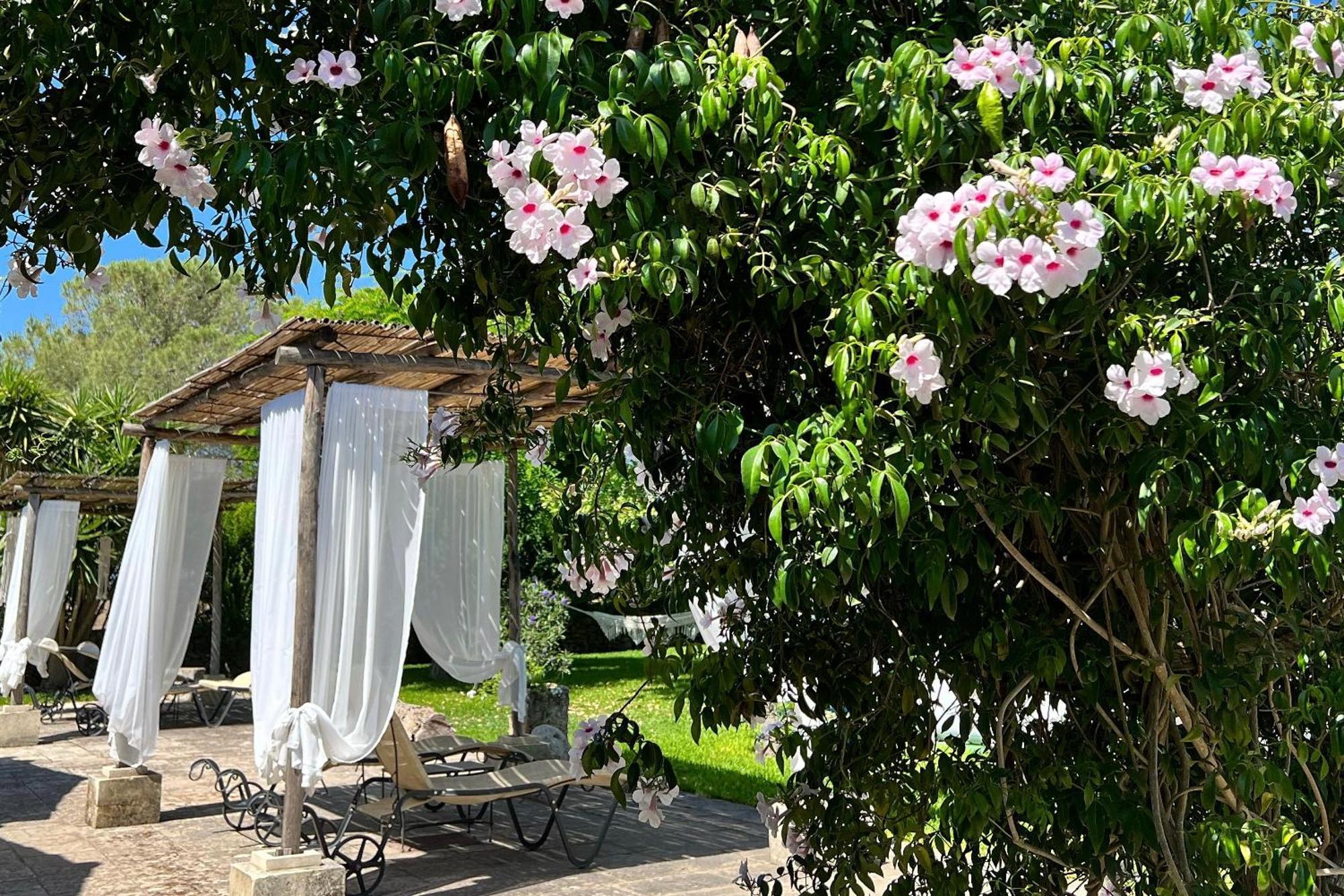 Masseria Casina Montana Corigliano dʼOtranto Zewnętrze zdjęcie
